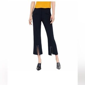 Zara Basic Black Cropped Pants